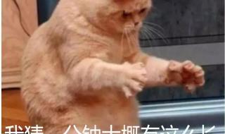 得知开学时间后崩溃 得知开学时间后崩溃